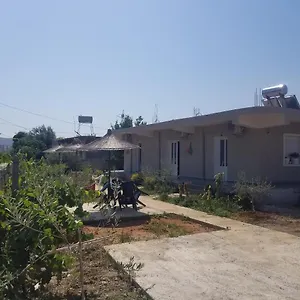 Maison d'hôtes Rey Garden, Vlorë